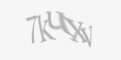 Защитный код